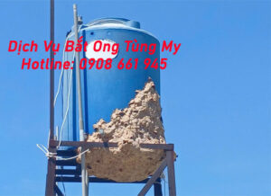 dich vu bat ong tai nha